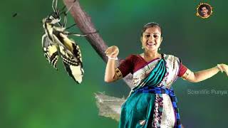 Dhadhina Natina Full Cover Dance  Mousumi  Editing ByChandan  BanglaFolkSong ChandanManna [upl. by Eelak569]