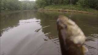 Cuivre River State Park Bass Fishing [upl. by Yancy]