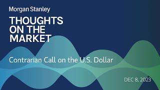 Contrarian Call on the US Dollar [upl. by Pembrook]