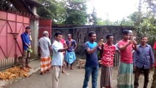 CATCHING SNAKE IN SYLHET BANGLADESH  BY AL MAMUN [upl. by Cykana]