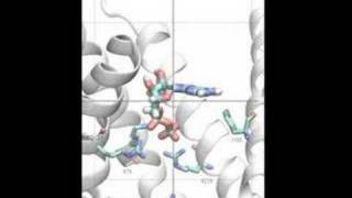 First Spontaneous Ligand Binding Simulated [upl. by Horatio]