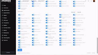 The Advantages of Using a Batch Scanner with ThunderPOS and ThunderPOSNet [upl. by Timmie]