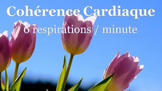 Coherence Cardiaque Exercices 116 6 respirations  minute [upl. by Oile]