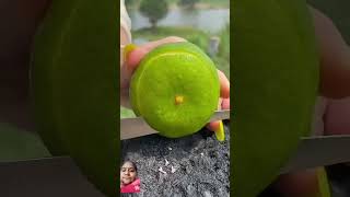 Kiwi fruit satisfying fruitcutting nature food vegetable oddlysatisfying carving plate [upl. by Lelah]