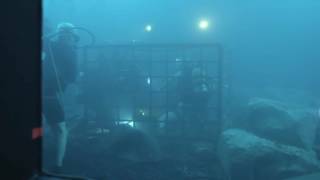 Behind the Scenes  47 Meters Down 1080p 2017 Hd [upl. by Enamrej138]