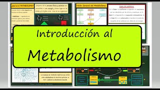 METABOLISMO Anabolismo y Catabolismo Enzimas Autótrofos y Heterótrofos Biología Bachillerato [upl. by Adnilemreh685]