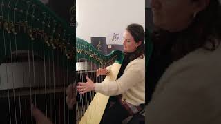 Marguerite Dunne Irish Harpist plays quotThe Glass of Beerquot Reel celticharp irishmusic pilgrimharps [upl. by Orecic]