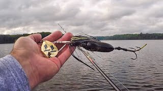 MUSKY FISHING THE NORTHWOODS  Muskies on Bucktails in Shallow Weeds [upl. by Yordan]