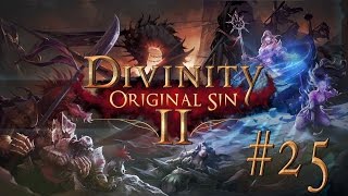 Divinity Original Sin II 25 TROMPDOY RIDDLE  Lets Play [upl. by Delgado]