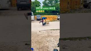 मोटी को school जाना है🐶😂🤣😎funny dog [upl. by Macdougall]