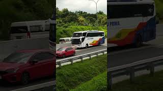 Bus Agra Mas ft Bus LAJU PRIMA di Jalan Tol Trans Jawa Semarang [upl. by Alle]