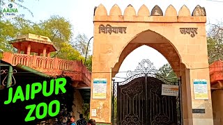 Jaipur Zoo  Jaipur zoo tour  jaipur zoo chidiya ghar  Aaina Travel [upl. by Ticknor]