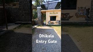 Dhangadhi Gate dhikala shorts jimcorbettnationalparkuttrakhand travel nature [upl. by Yemrej860]