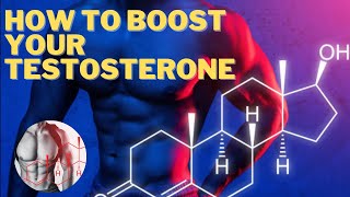 How To Boost Your Testosterone [upl. by Oznohpla]