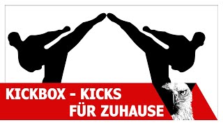 Kickboxen Fusstechniken als Übungen für Zuhause  Kickbox Team Steinen [upl. by Frost]