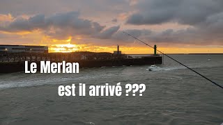 Pêche à Boulogne sur mer le Merlan est il arrivé [upl. by Sille]