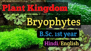 Bsc first year Botany Paper second General Characters of Bryophytes MGKVP Bsc 1st year Botany [upl. by Erland]