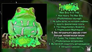 Phyllomedusa x Purplefrog Staphilococcus  Wax Boy In A Tree FULL ALBUM 2024FrognoiseAvant Garde [upl. by Illona]