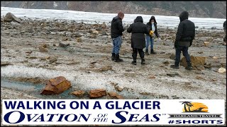 Ovation Of The Seas  Walking On A Glacier cruise [upl. by Elodia]