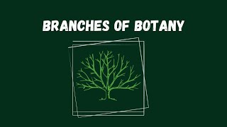 Branches of Botany l Lecture  02 l Botany Basics [upl. by Dannica]