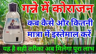 coragen in sugarcane गन्ने में कोराजन कब कितना और कैसे डालें ganne mein coragen kab aur kaise dale [upl. by Basset]