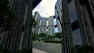 PINNACLE  DUXTON A public HDB with 50th floor and skybridge [upl. by Janerich784]