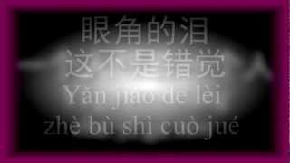 一个人想着一个人曾沛慈with lyrics歌词 and han yu pin yin汉语拼音 [upl. by Arianie280]