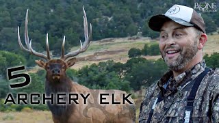 5 ARCHERY BULLS Best of Michael Waddell [upl. by Mayes]