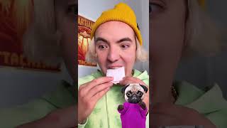 COTTON CANDY TEETH THATS NEW 🦷😉 funnyanimals cottoncandy reaction dog [upl. by Kizzee]