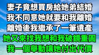 妻子竟想買房給她弟結婚，我不同意她就要和我離婚，離婚後我繼承了一筆遺產，她又來找我想和我破鏡重圓，我一個舉動讓她付出代價【失語的貓】落日溫情 情感故事 花開富貴 深夜淺讀 深夜淺談家庭矛盾 [upl. by Lednor]