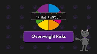 Trivial Purrsuit Overweight Pet Risks [upl. by Dagmar566]