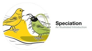 Speciation An Illustrated Introduction [upl. by Elsbeth356]