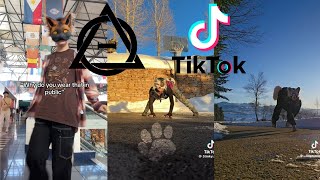 Therian and Quadrobics TikToks  Compilation 🐾🪱🪲 Alterhumans of TikTok 77 [upl. by Arima]