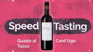 Vier Flaschen Speedtasting Cont Ugo  ein Merlot der Extraklasse [upl. by Eelloh239]