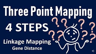 Three point mapping II Gene Order II Gene Distance II Genetics Problem Linkage [upl. by Enerod]