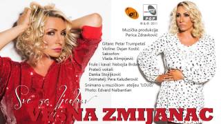 Vesna Zmijanac  Sve za ljubav  Audio 2011 [upl. by Larrabee]