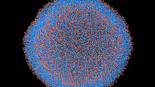 Forming liposomes from bicelles [upl. by Notlih219]