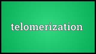 Telomerization Meaning [upl. by Marozik139]