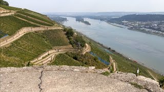 Rüdesheim  Assmannhausen  Rüdesheim walking and sailing [upl. by Bank]