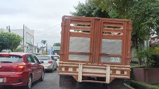 Calle Bolivia Ruiz Cortines Avila Camacho Clavijero Octubre 2024 [upl. by Ahcarb]