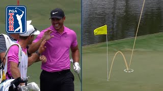 The best albatrosses of alltime on the PGA TOUR [upl. by Wolff]