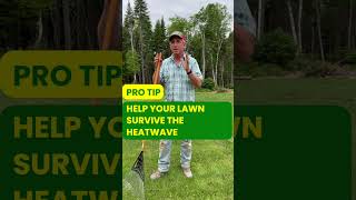 Beat The Heatwave With These Essential Lawn Care Tips [upl. by Groh587]