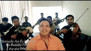 Amargo adiós Mariachi Así es México 2144148169 [upl. by Nnilsia]