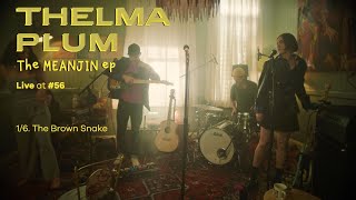 Thelma Plum  The Brown Snake Live at 56 [upl. by Radke]