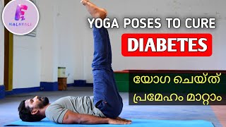 3 Yoga Poses For Diabetes  Type 1 amp Type 2  f2malayali [upl. by Fortunio445]