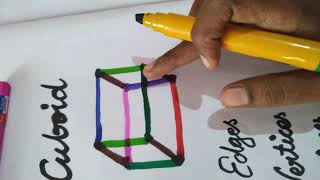 Tamil  How to draw Cuboidedgesfaces and vertices [upl. by Shields326]