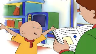 Il mio libro Preferito  Caillou Italiano  WildBrain Italiano [upl. by Tsepmet]