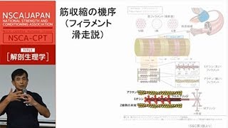 【NSCA】受験対策講座サンプル動画（NSCACPT解剖生理学） [upl. by Eiramnaej843]