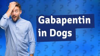 How long does gabapentin stay in a dogs system [upl. by Fermin195]