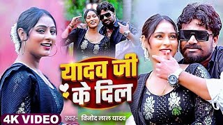 रंगदारी  यादव जी के दिल  Vinod Lal Yadav  Yadav Ji Ke Dil  Bhojpuri Song 2024 [upl. by Archle]